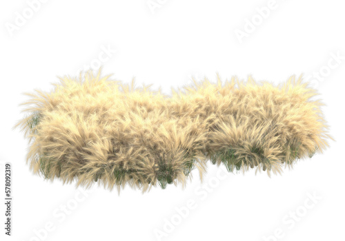 Foliage isolated on transparent background. 3d rendering - illustration