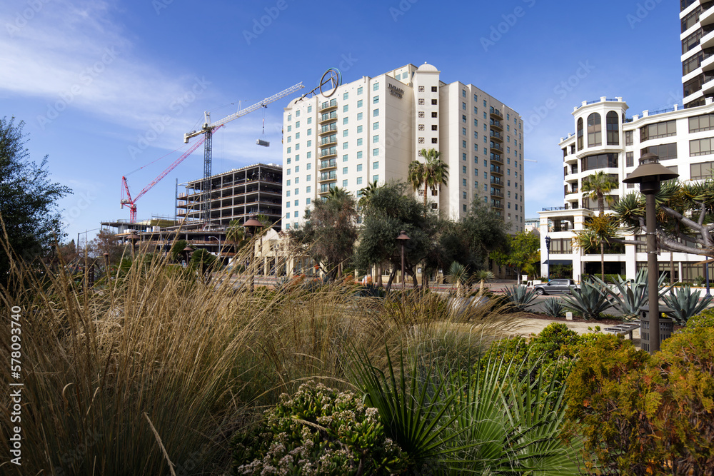Garden with San Diego Architecture in the Background and a building under construction Garden with San Diego Architecture in the Background and a building under construction