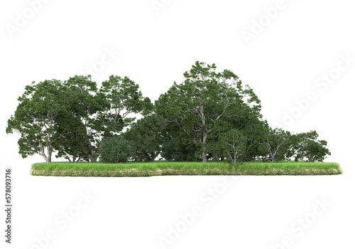 Realistic forest island on transparent background. 3d rendering - illustration