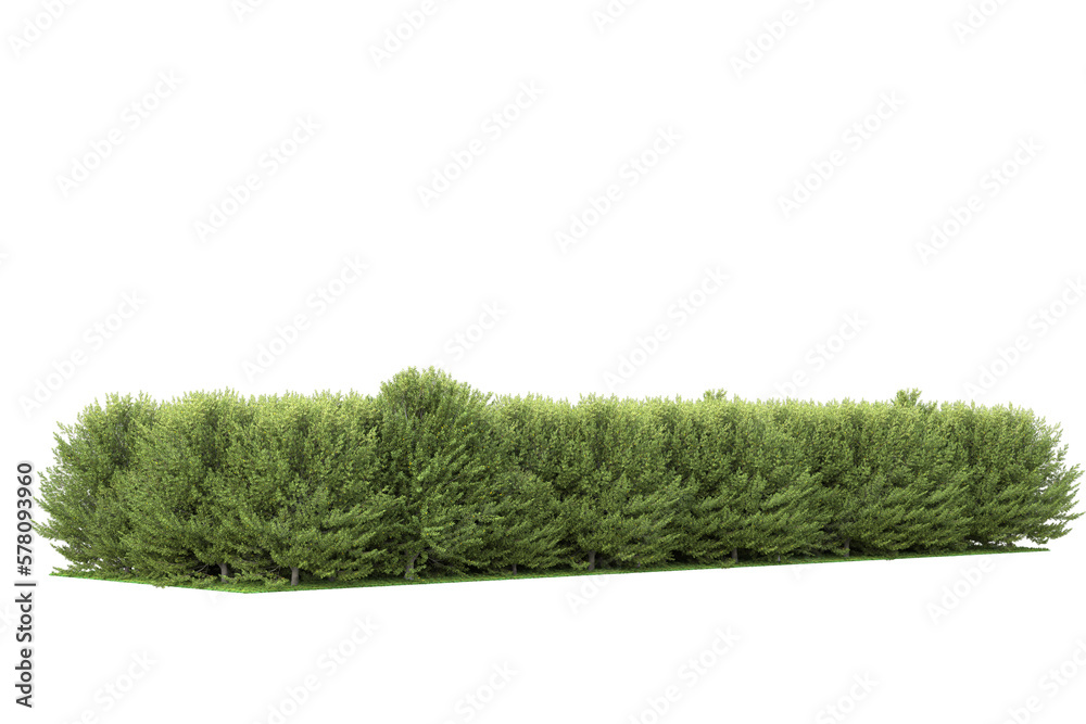 Realistic forest island on transparent background. 3d rendering - illustration Realistic forest island on transparent background. 3d rendering - illustration