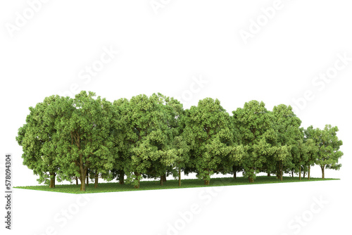фотографія Realistic forest island on transparent background