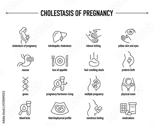 Cholestasis of Pregnancy symptoms, diagnostic and treatment vector icon set. Line editable medical icons. photo