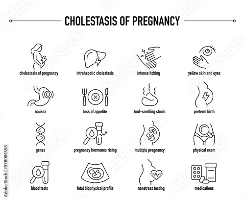 Cholestasis of Pregnancy symptoms, diagnostic and treatment vector icon set. Line editable medical icons.