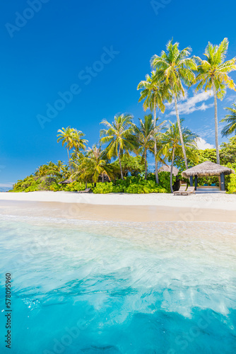 Closeup sea sand palm trees beach. Panoramic island landscape. Inspire tropical coast sea bay horizon. Sunny blue sky, calm tranquil relax summer vacation travel holiday background. Freedom nature