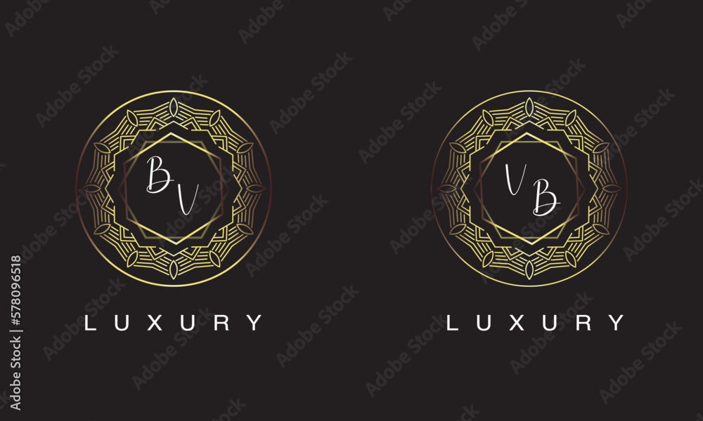 Fototapeta premium BV and VB logo luxury logo design.