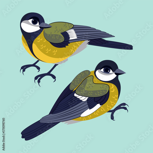 tit bird vector illustration