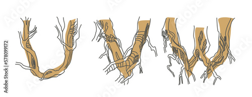 Set initial letters U, V, W. Decorative font from tree roots. Environmental design. Nature typography