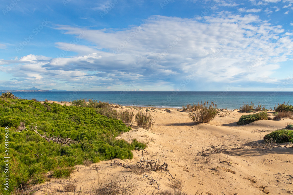 Vega Baja del Segura - Guardamar - Paisaje de las dunas de Guardamar del Segura Vega Baja del Segura - Guardamar - Paisaje de las dunas de Guardamar del Segura