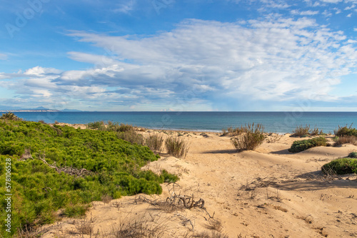 Vega Baja del Segura - Guardamar - Paisaje de las dunas de Guardamar del Segura