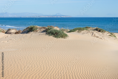 Vega Baja del Segura - Guardamar - Paisaje de las dunas de Guardamar del Segura