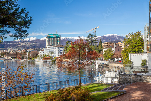 Small reв larch tree and sunny embankment of Lugano and snow-capped mountains behind town and railroad station  Lugano © Marat Lala