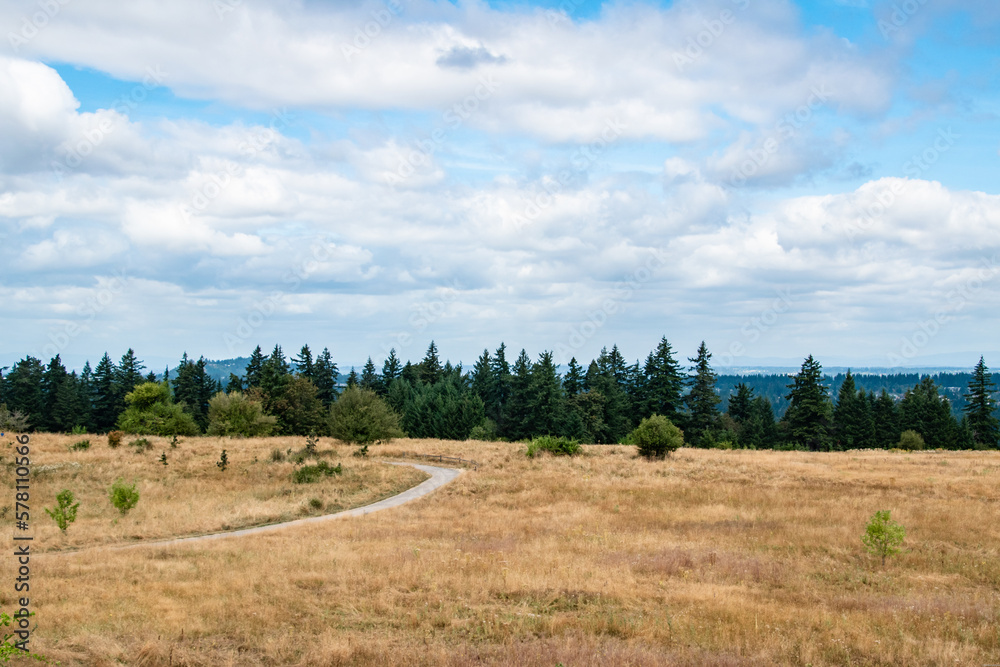 Trail and Rolling Hills With Dry Meadows in Powell Butte Park in East Portland, OR