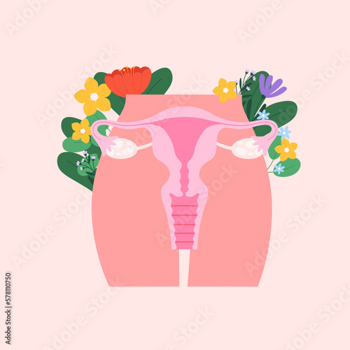 Female reproductive system poster. Women period, healthy maternity and pregnancy. Uterus and ovaries, cartoon gynecology vector illustration