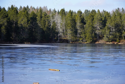 Étang de la Gruère during winter (Swiss Jura natural reserve) photo