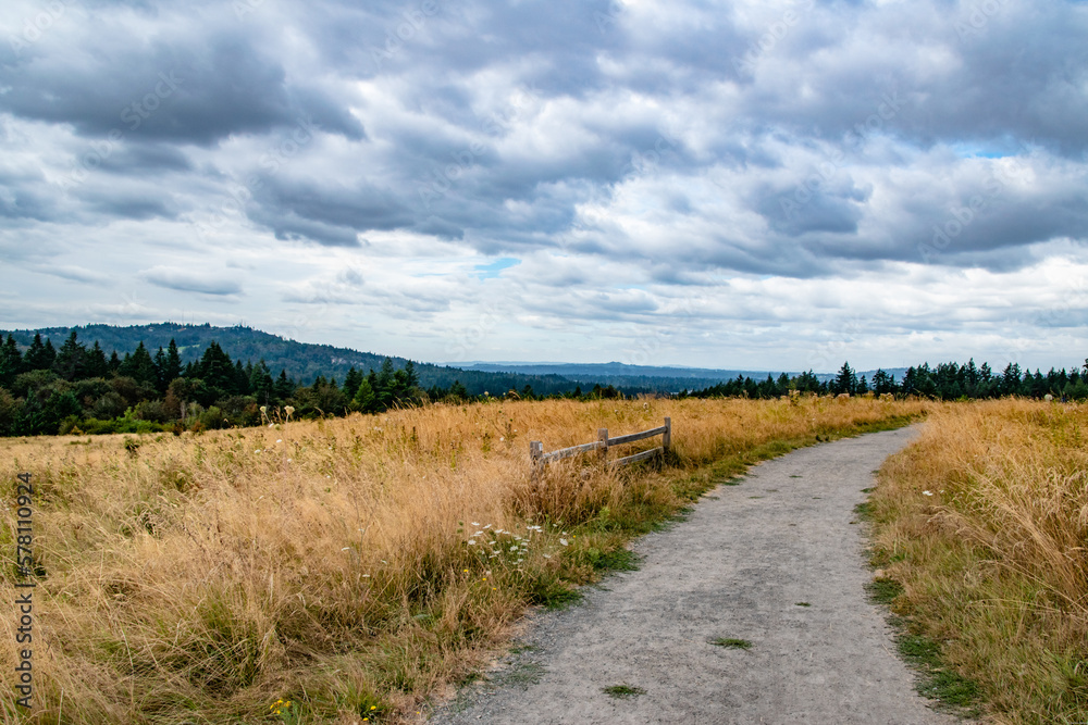 Trail and Dry Meadow in Powell Butte Park in East Portland, OR Trail and Dry Meadow in Powell Butte Park in East Portland, OR