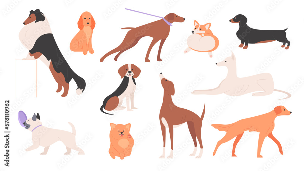Dogs set vector illustration. Cartoon happy cute dogs of different breeds collection, group of small and big animal characters with funny poses, tails and adorable faces, playing puppy portraits