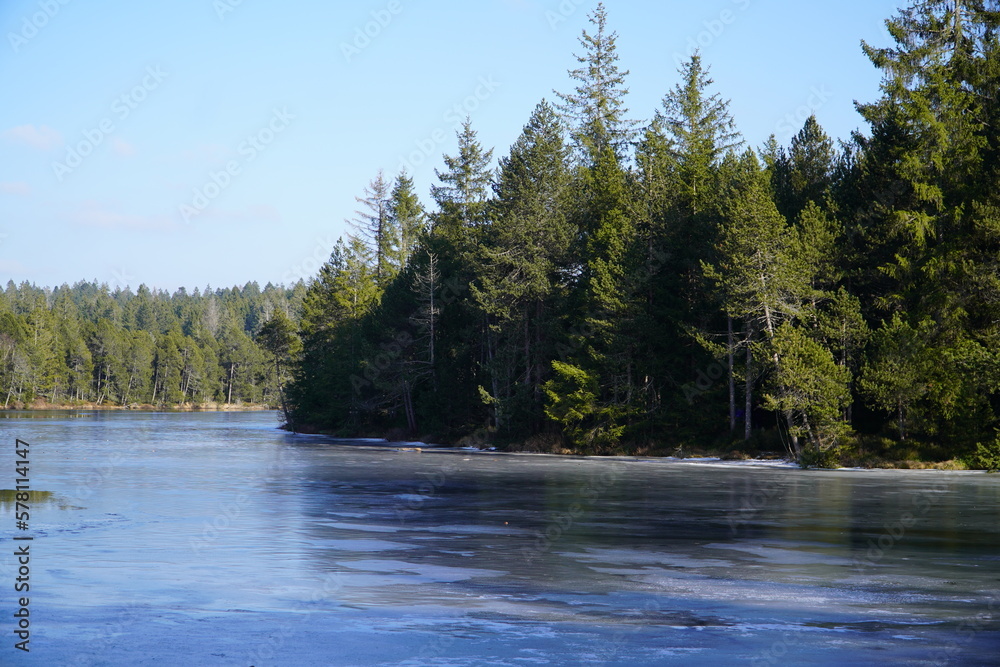 Frozen Étang de la Gruère during Winter Frozen Étang de la Gruère during Winter