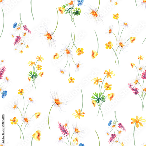 Wildflowers seamless pattern, digital paper. Wildflowers floral arrangement clipart.  Stock illustration. Hand painted in watercolor. © Evgeniia