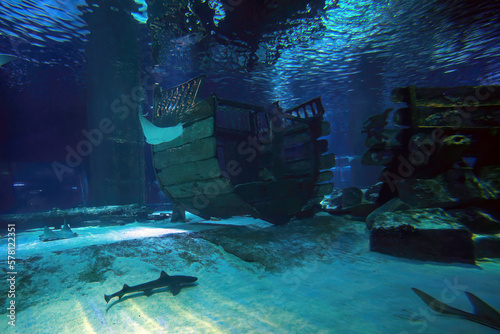 Фотография Underwater view of fish swimming around a broken sunken ship