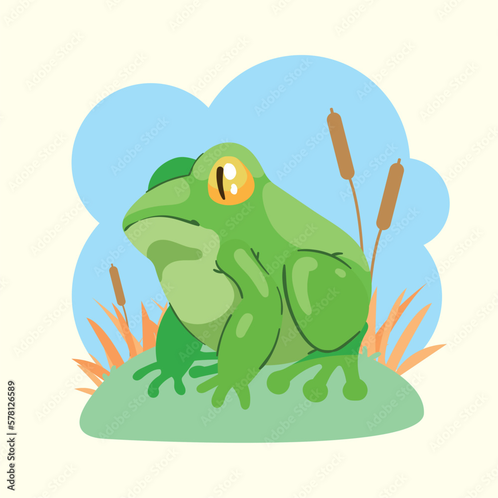Fototapeta premium green frog amphibian