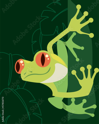 frog amphibian in tree