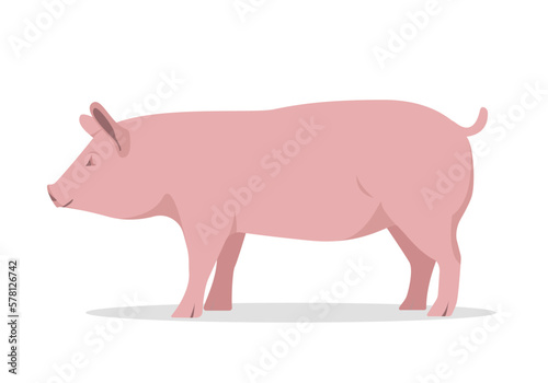 Pink fat pig isolated on white background. Domestic Pig Farm animal. Vector flat or cartoon illustration.