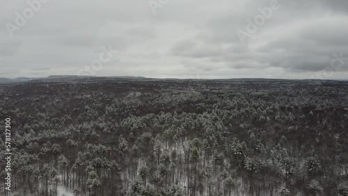 winter drone forest 
