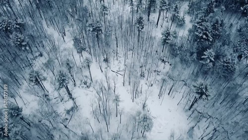 winter drone flyover of forest 