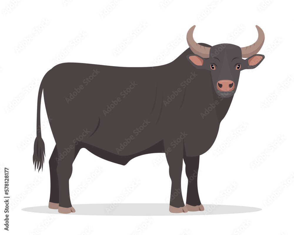 Black Or Brown Bull Male Farm Animal Best Beef Cattle Breed Vector black-or-brown-bull-male-farm-animal-best-beef-cattle-breed-vector