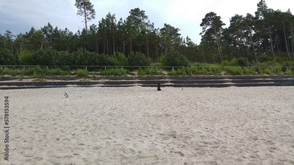 Gdynia Gdynia