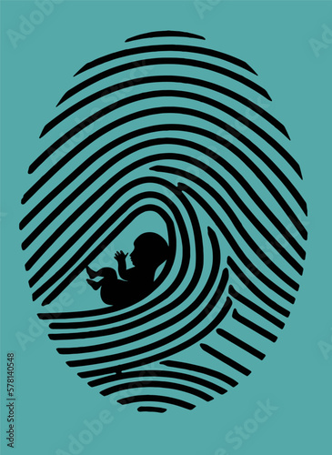 A human fetus is seen inside a fingerprint in a vector illustration about when babies are considered to be living beings.