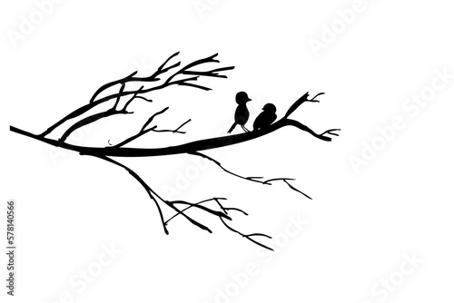 hand draw sketch, silhouette 2 birds at branch