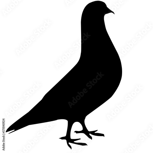 silhouette of a pigeon