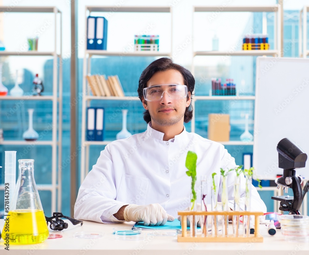 Male biotechnology scientist chemist working in the lab
