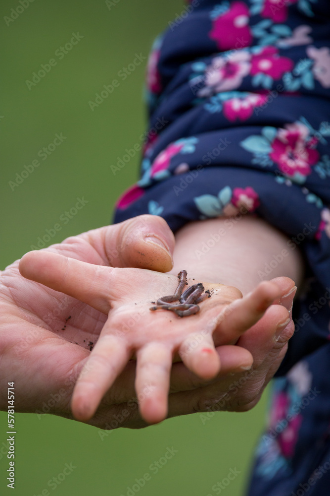 Würmer in einer Kinderhand Würmer in einer Kinderhand