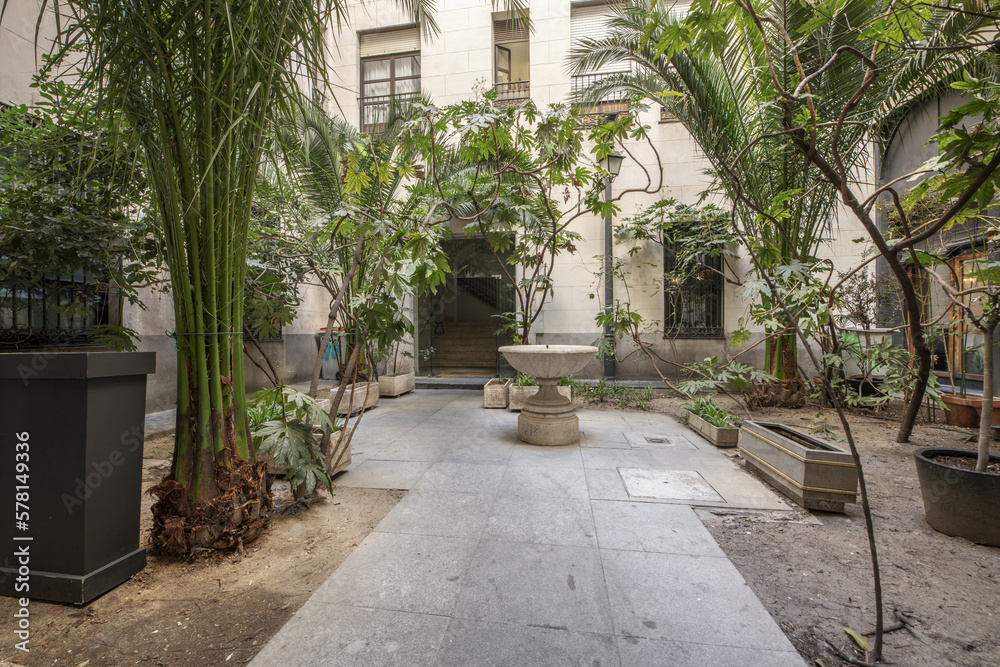 Fototapeta premium Granite pavement corridor between plants and palm trees and a fountain in the interior block patio of an urban dwelling