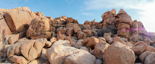 Joshua Tree National Park 