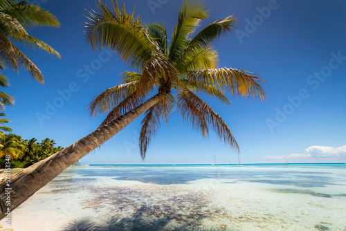 Boats and tropical beach in caribbean sea  Saona island  Dominican Republic
