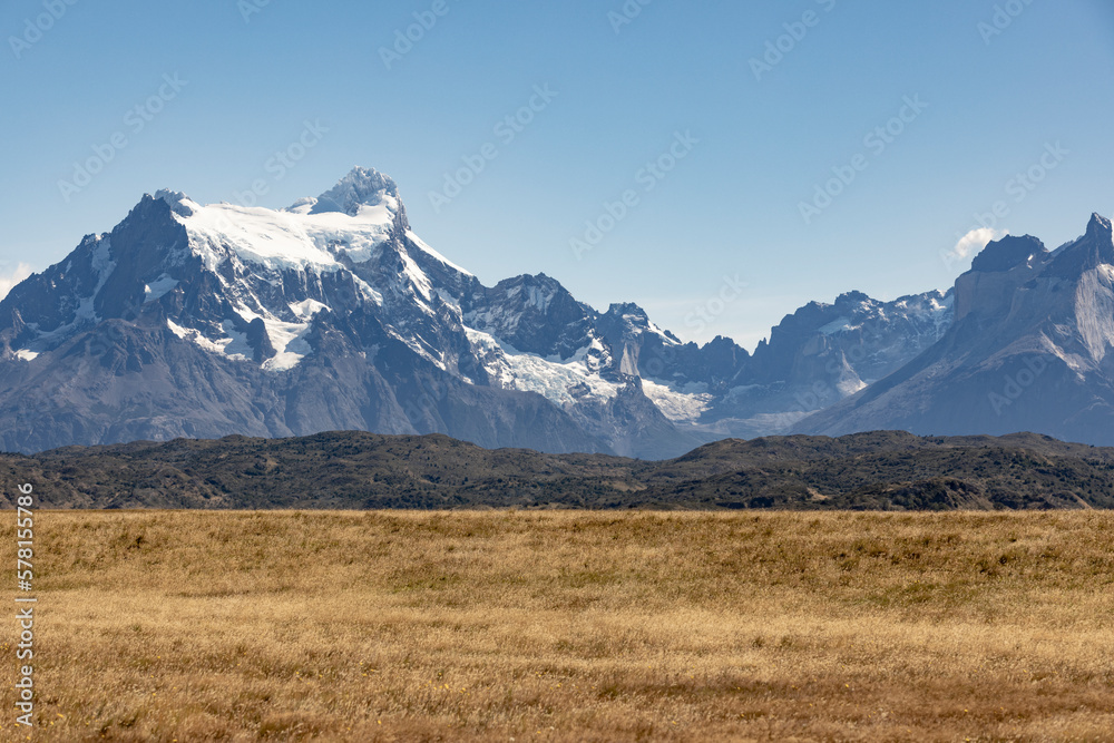 Golden Pampas and snowy mountains of Torres del Paine National Park in Chile, Patagonia, South America