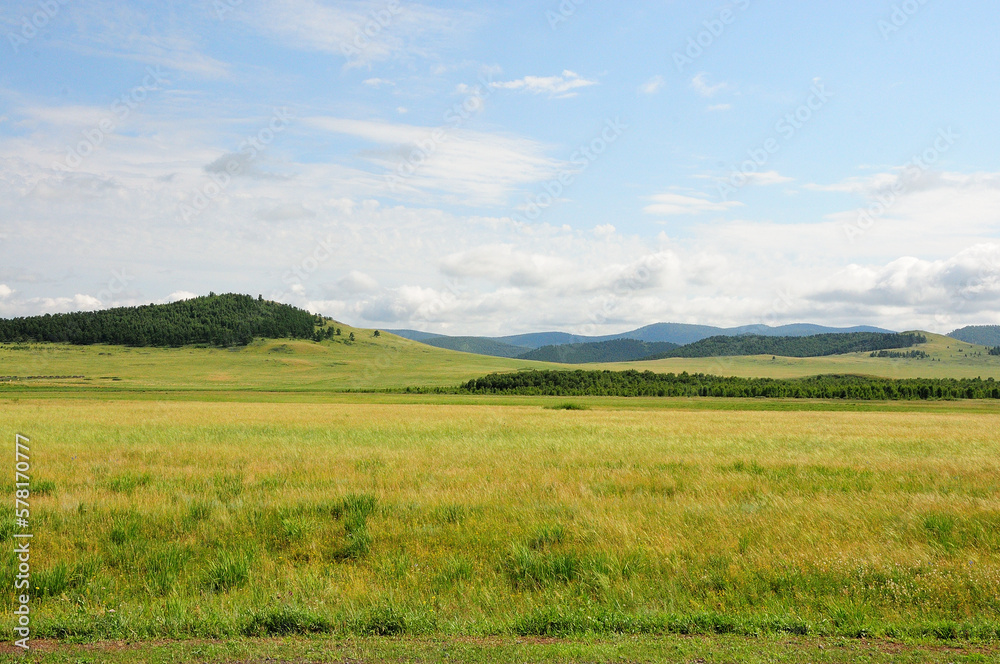 Huge steppe with rare high hills with slopes partly overgrown with coniferous forest under a sunny summer sky.