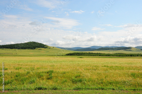Huge steppe with rare high hills with slopes partly overgrown with coniferous forest under a sunny summer sky.