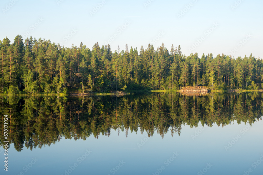 reflection on the forest lake