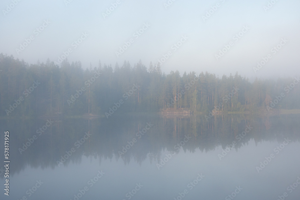 mist over forest lake