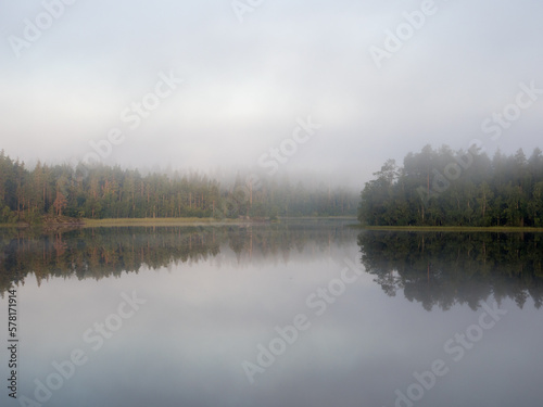 landscape with morning mist in summer