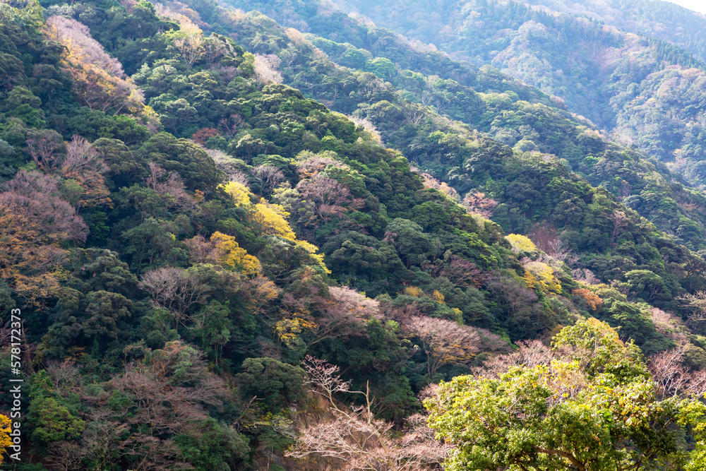 阿蘇　箱石峠展望所から見る秋の風景	