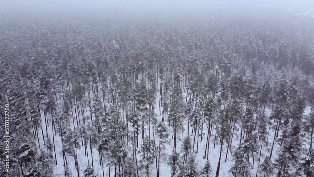 Mystical Winter Wonderland: A Drone's View of a Foggy Forest. Panning Aerial View of Snow-Covered Forest on Misty Day Mystical Winter Wonderland: A Drone's View of a Foggy Forest. Panning Aerial View of Snow-Covered Forest on Misty Day