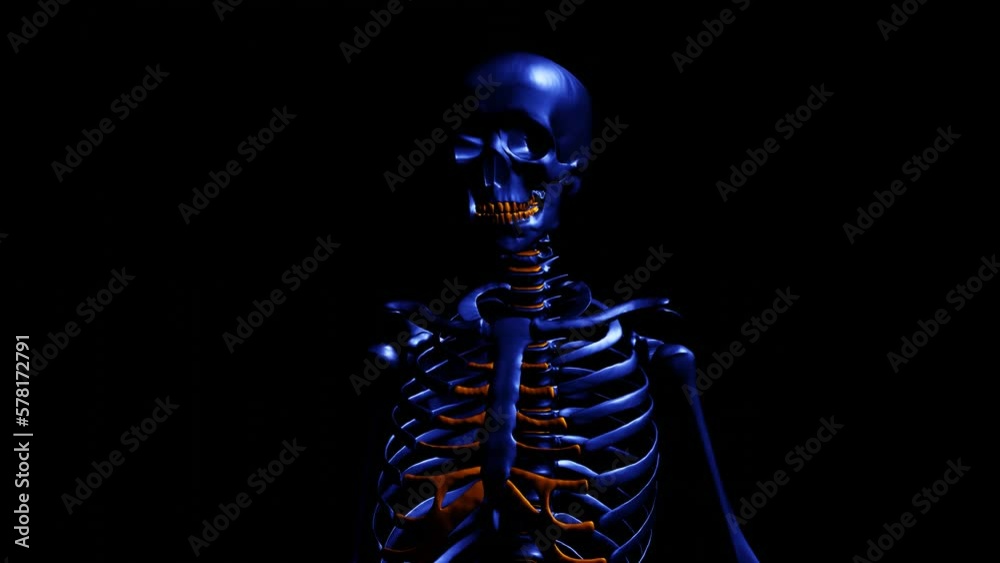 Blue skelton - orange - 360.
