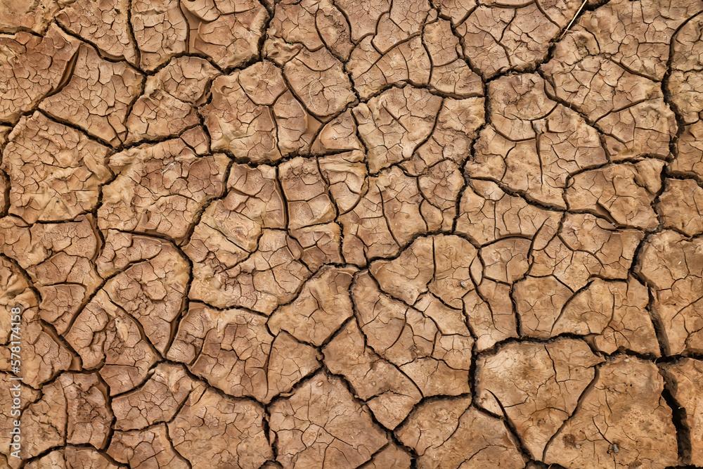 cracks on the ground desert texture background earth climate ecology cracks on the ground desert texture background earth climate ecology