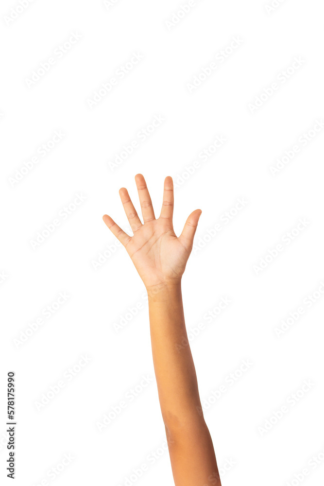 Hand isolated on white background, clipping path Hand isolated on white background, clipping path