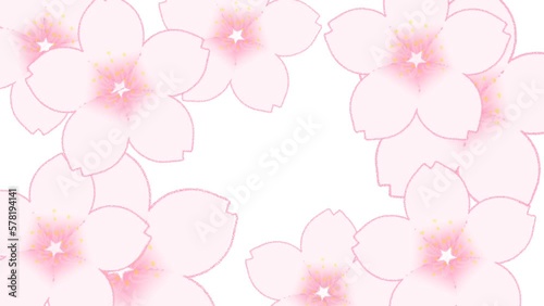 次々に花開く桜